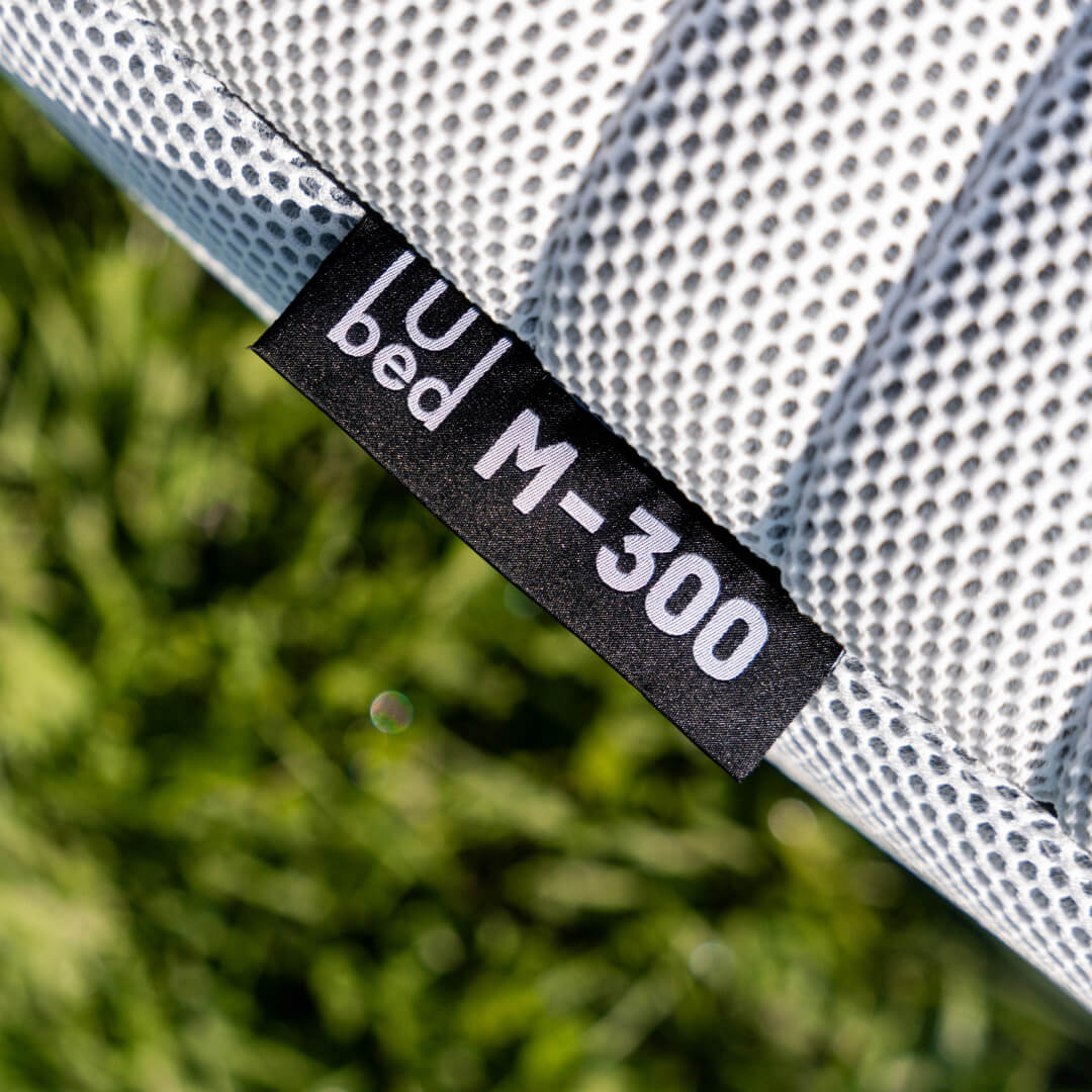 UBED M-300